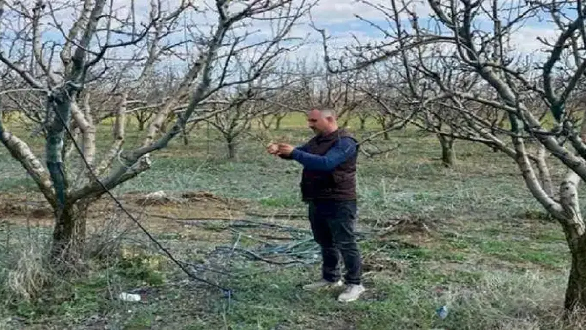 TARSİM'in destek prim oranı belirlendi