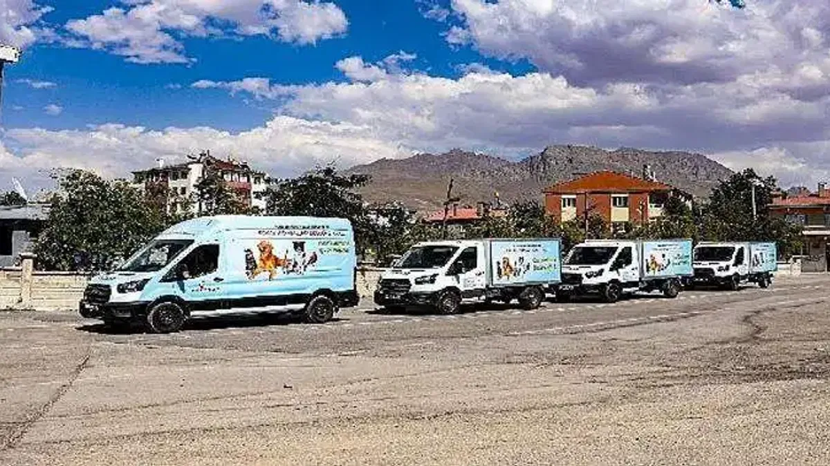 Van sahipsiz hayvanlar bilrliği sokak hayvanlarına hayat veriyor