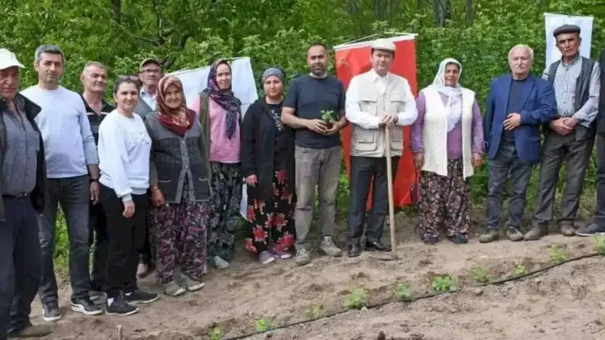 Bursa Osmangazi Belediyesi’nden tarımsal üretim adımı