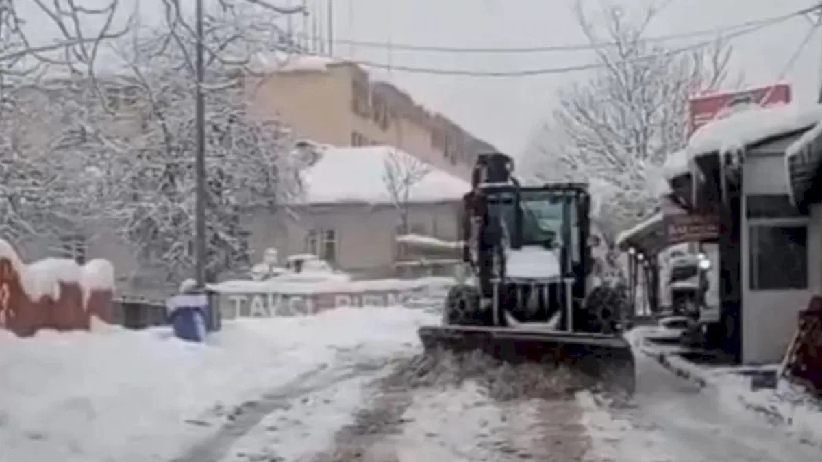Tunceli, son 65 yılın en yoğun kar yağışıyla mücadele ediyor