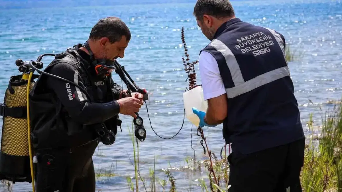 Sapanca'daki alg oluşumu mevsimsel