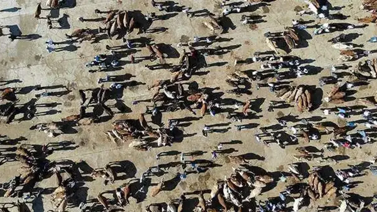 Kurban Bayramı 9 Temmuz Cumartesi günü başlayacak