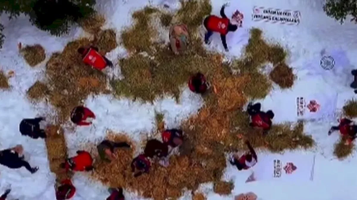 Ilgaz Dağı’na yüzlerce kilo yem bırakıldı