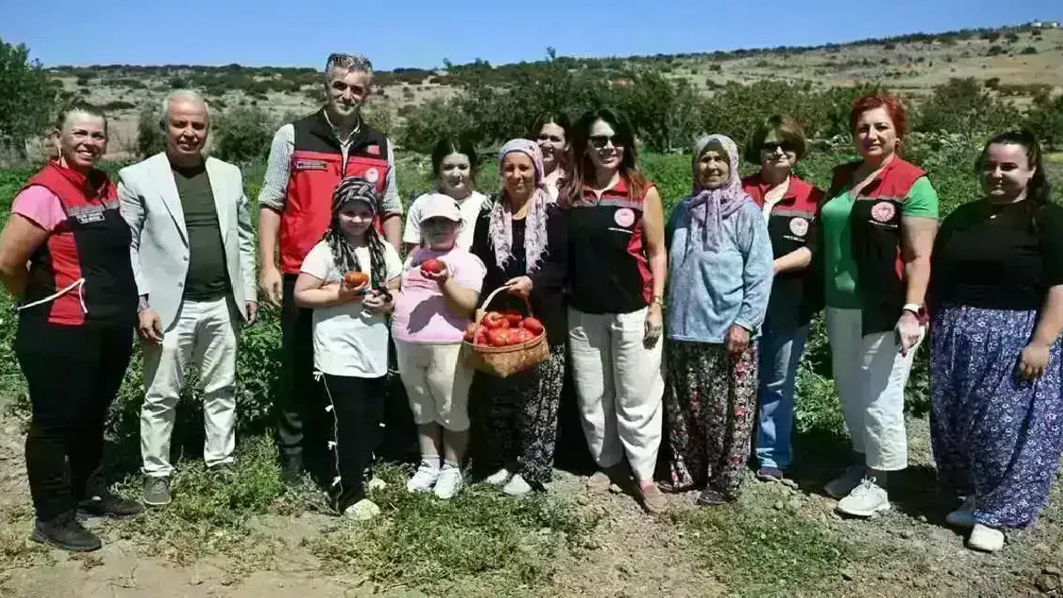 Yamanlar Tarla Domatesi için üreticilerle tarlada buluşuldu