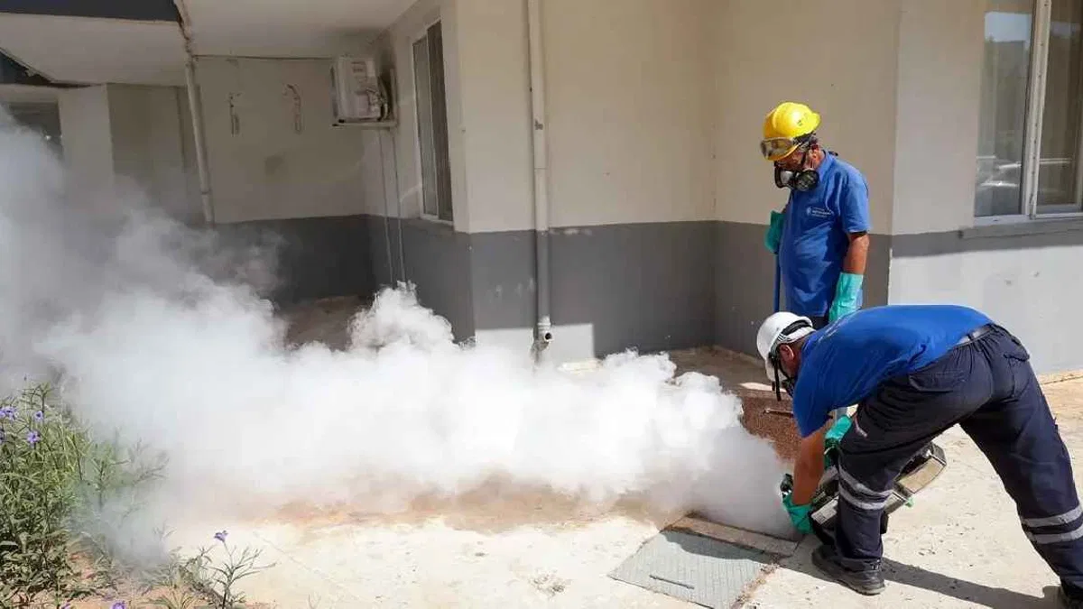 Antalya’da haşere ve sivrisinekle mücadele aralıksız sürüyor