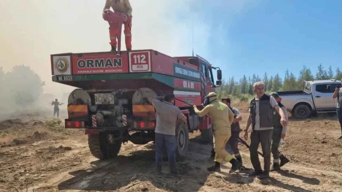 OGM'den yangın uyarısı! Çoğu ihmal ve dikkatsizlikten çıktı!
