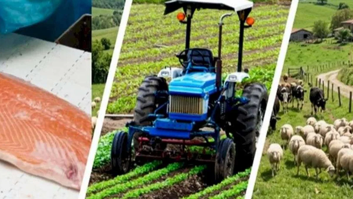 IPARD III’te yeni takvim açıklandı... Kırsala 241 milyon avroluk dev hibe
