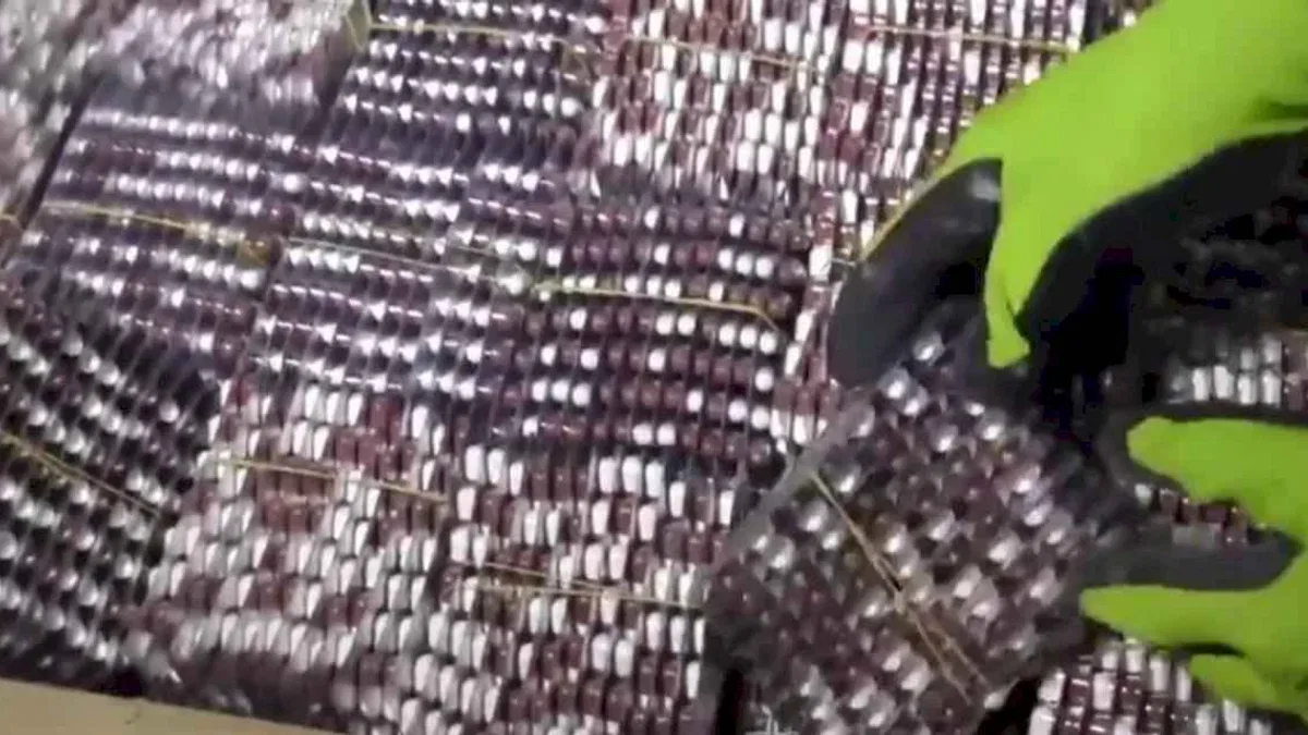 İstanbul'da milyonlarca uyuşturucu hap ele geçirildi!