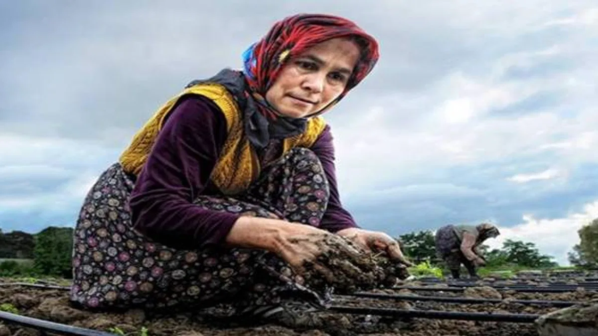 TÜDKİYEB: Çiftçi kadınların sosyal güvence sorunu olmamalı