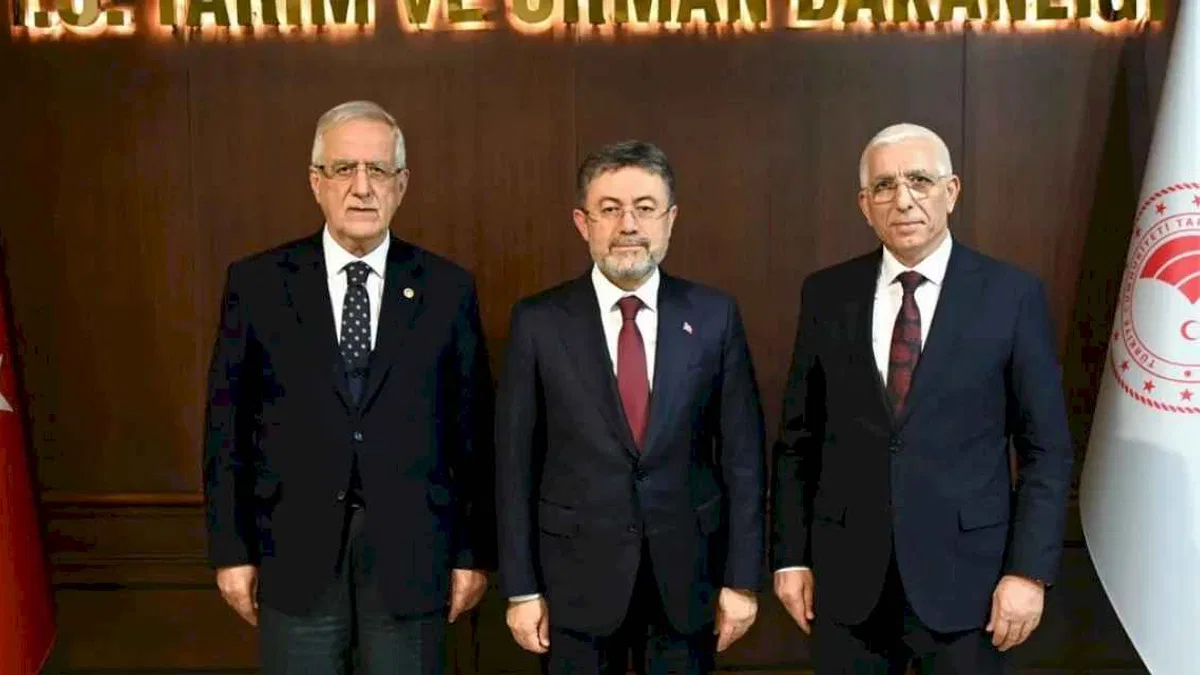 Marmarabirlik: Dane zeytine prim desteği kaldırılmamalı! Bakan Yumaklı'ya rapor sunuldu
