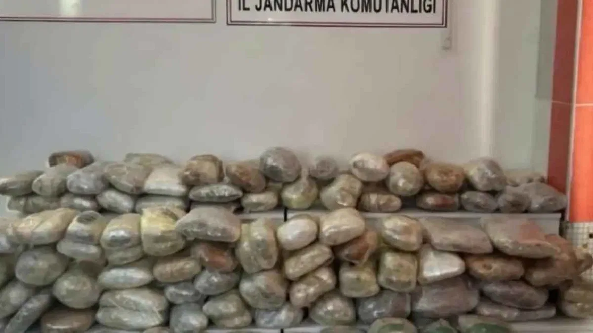 Hakkari ve Samsun’da uyuşturucu operasyonu