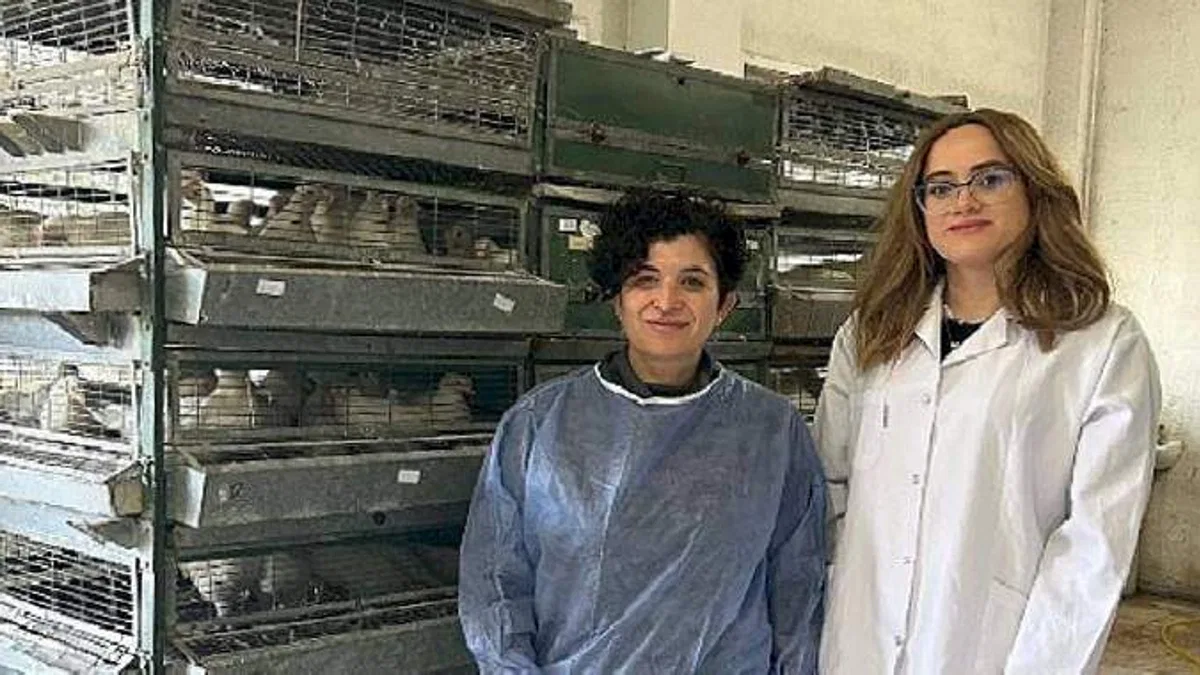 Ege'de "Tavuk koronavirüs aşılarında yerli ve milli adjuvan geliştirilecek"