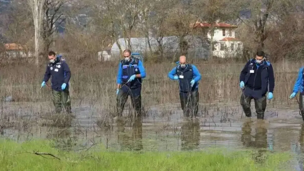 Muğla Büyükşehir’den 13 ilçede vektörle mücadele