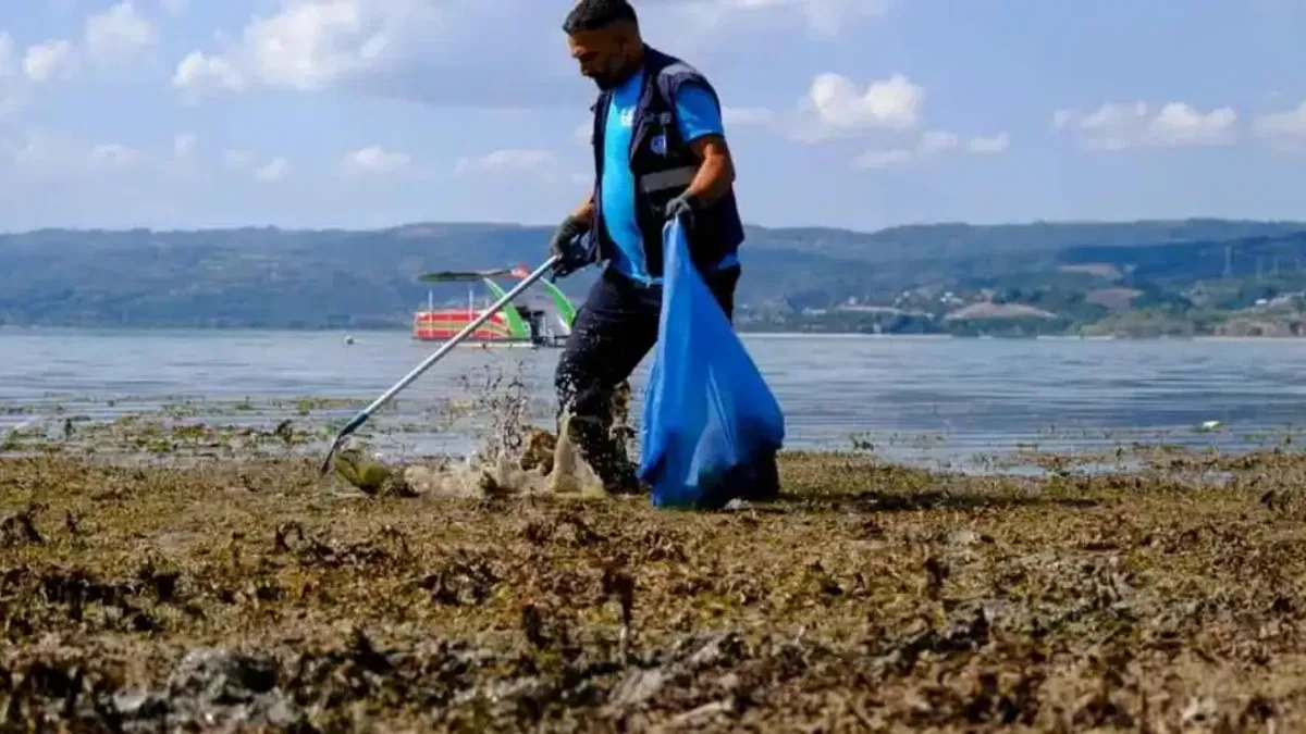 Sapanca çevresinden 2 ton çöp çıktı