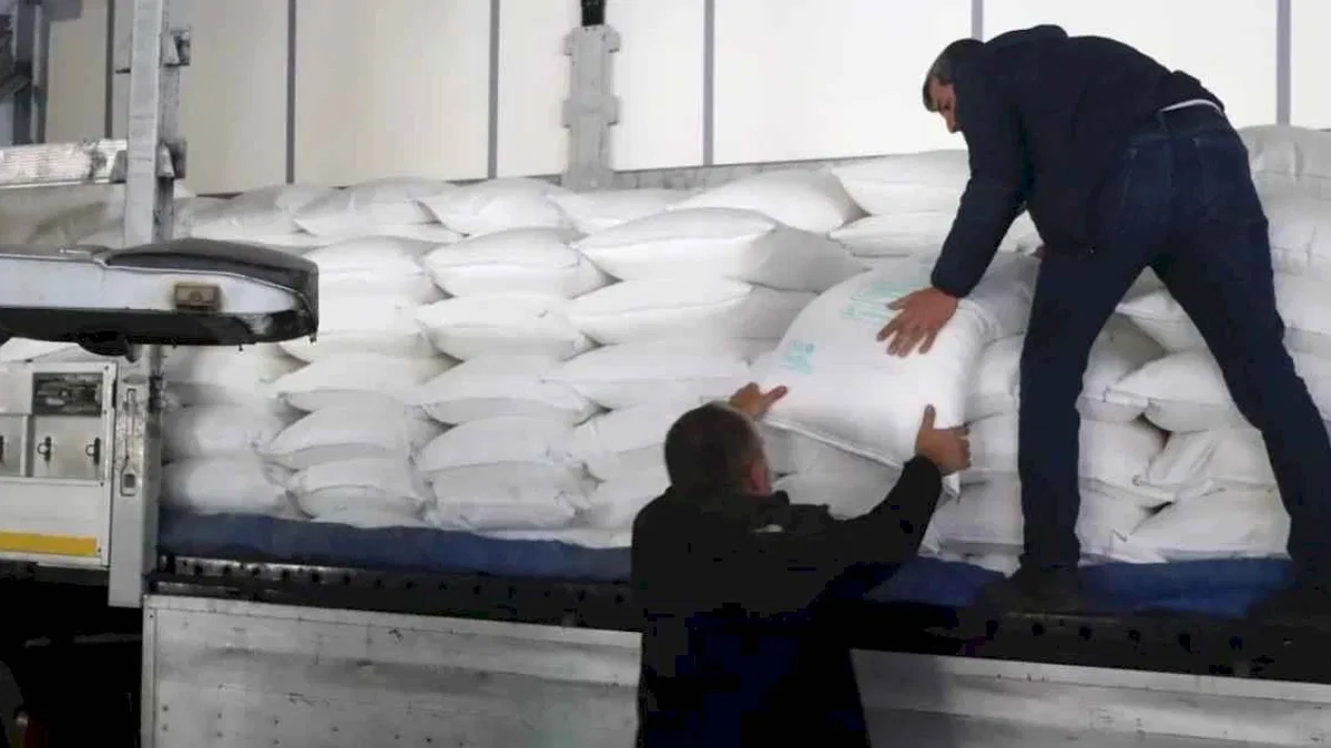 Kocaeli'de arı yemleri teslim ediliyor... Büyükşehir'den 169 tonluk destek