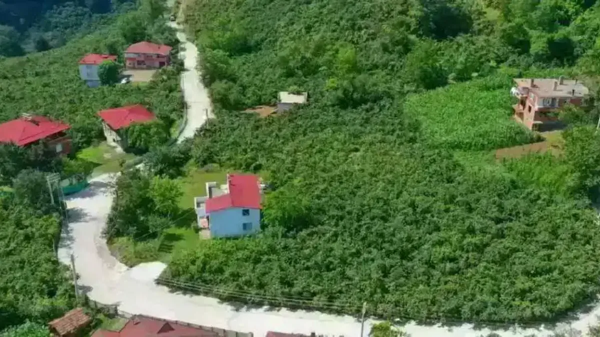 Ordu’da kırsal mahallelere beton yol konforu