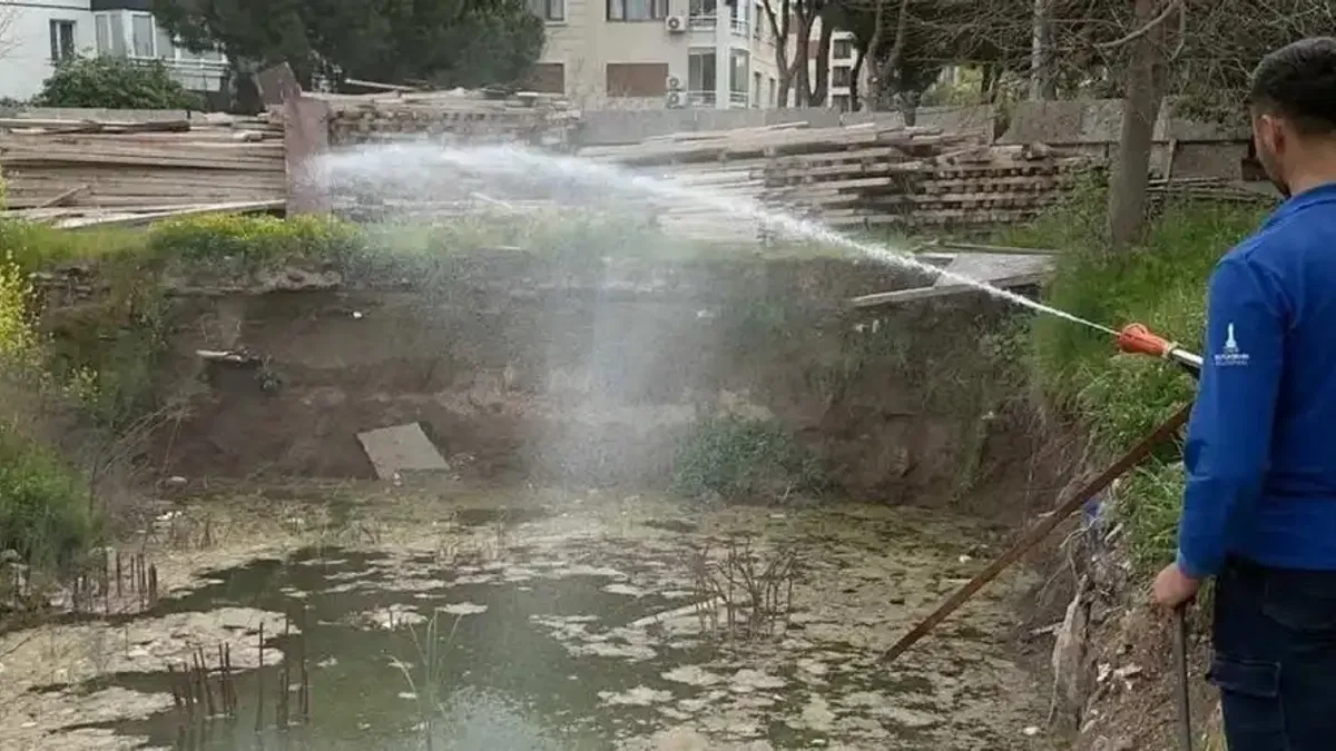 İzmir’de sivrisineğe karşı dev mücadele