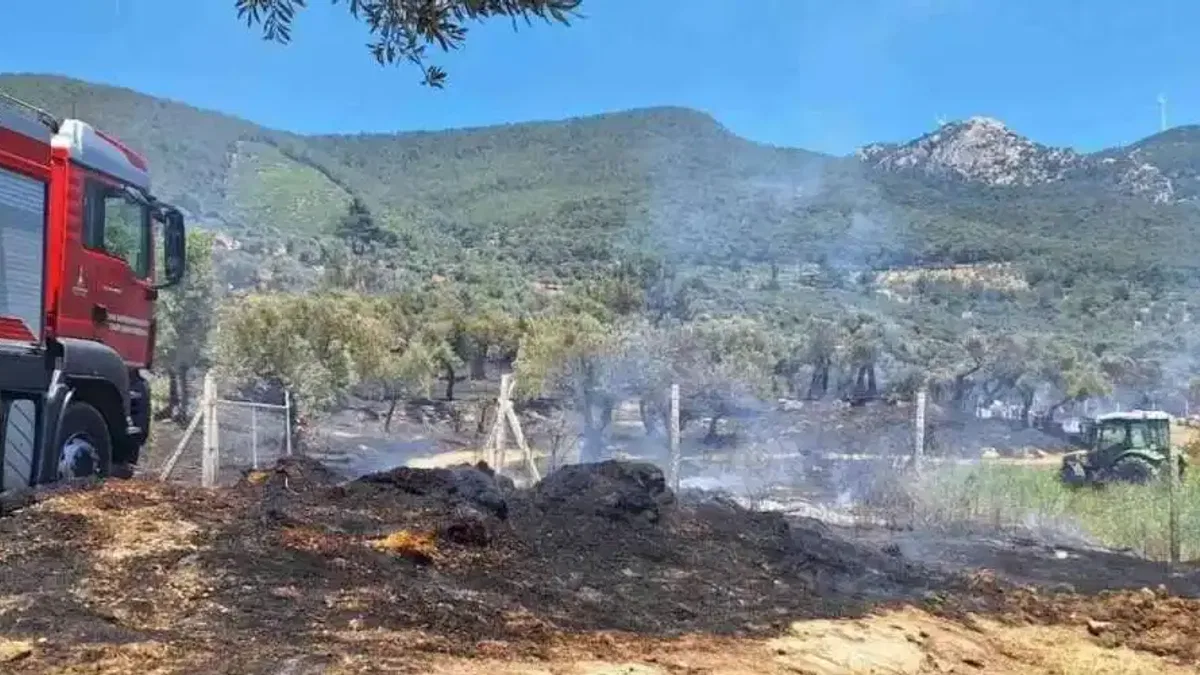 İzmir İtfaiyesi üç noktada yangınlara müdahale etti