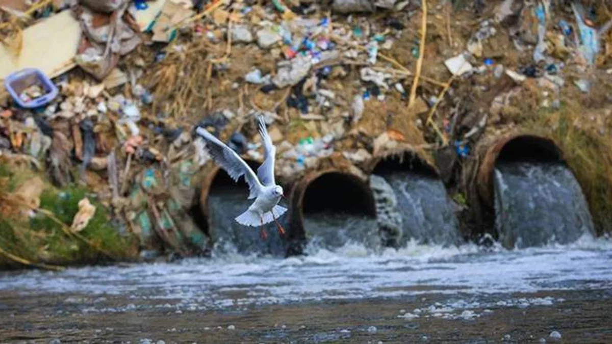 Irak’ta Dicle Nehri’ndeki kirlilik yaşamı tehdit ediyor