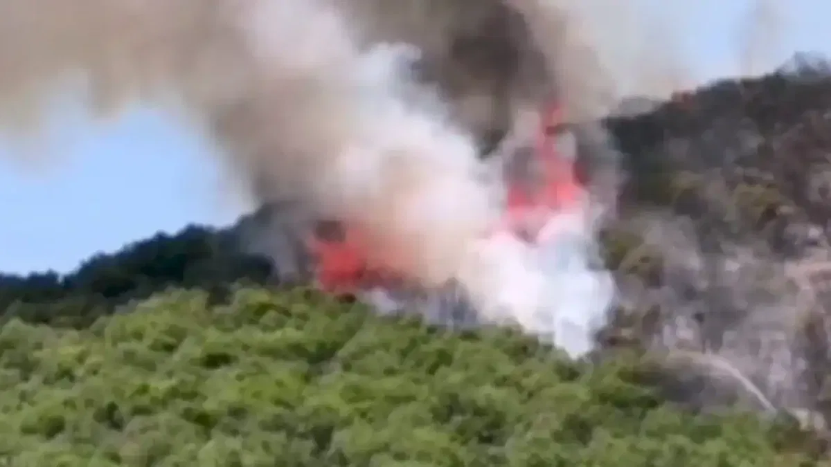 Bursa'da Yenişehirli çiftçilerden yangın seferberliği