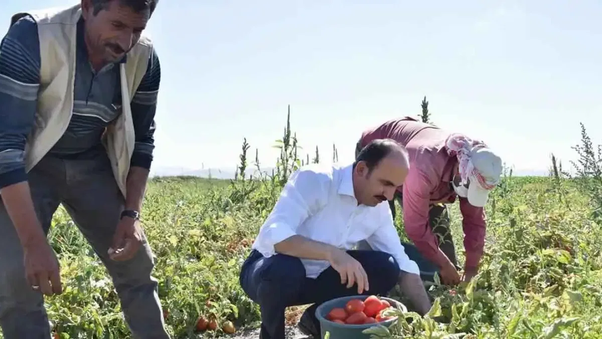 Konya’da 2026 için fidan ve fide desteği başvuruları başladı