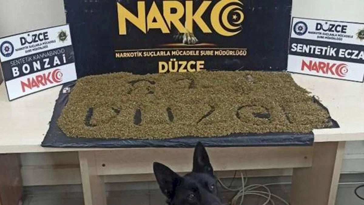 Düzce'de uyuşturucuya 2 tutuklama