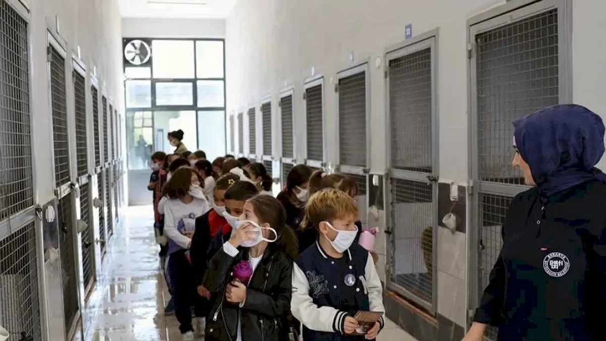 Sakarya'da can dostların yeni dünyasına hayran kaldılar