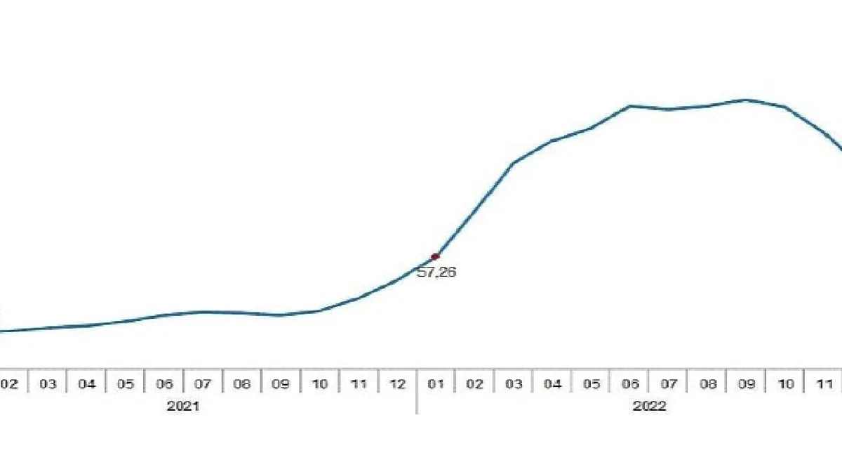 Tarımsal girdi fiyat endeksi (Tarım-GFE) yıllık %95,99, aylık %6,24 arttı