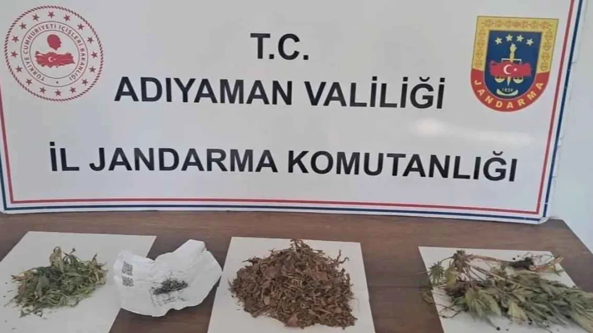 Kahta'da 305 gram kubar esrar ve kenevir ele geçirildi