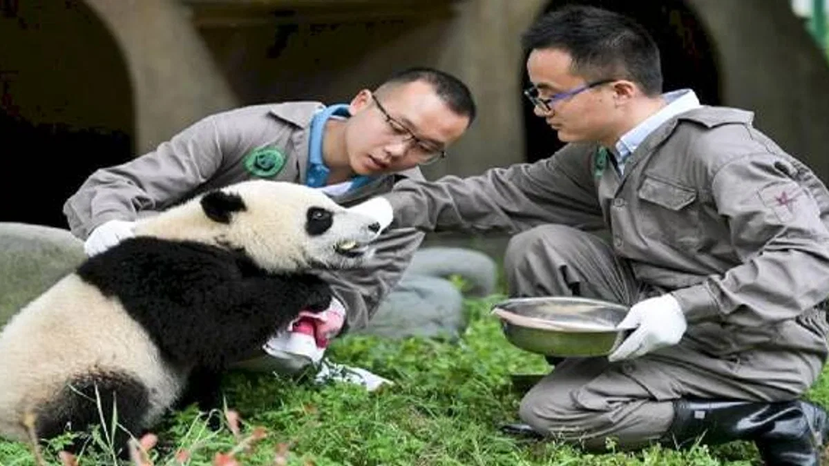 Chengdu- İstanbul uçuşları yeniden başlıyor