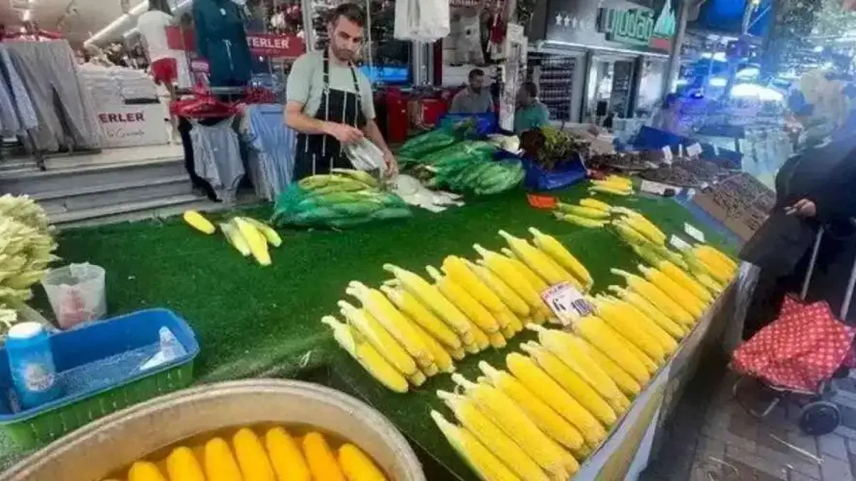Mısır tezgahlarda yerini aldı: İşte pazarın son durumu!