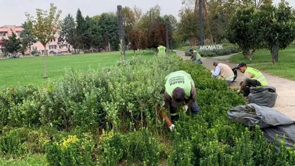 Sakarya'da şehrin dört bir yanına sonbahar dokunuşu