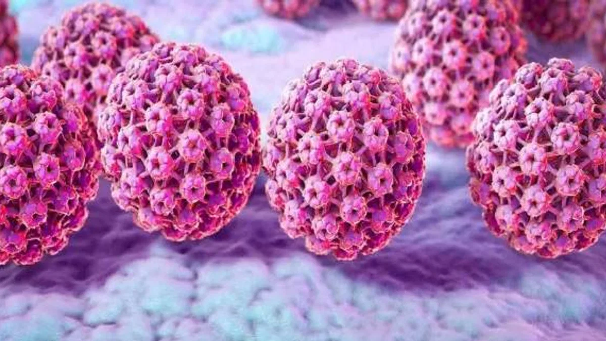 HPV (İnsan Papilloma Virüsü) Nedir?