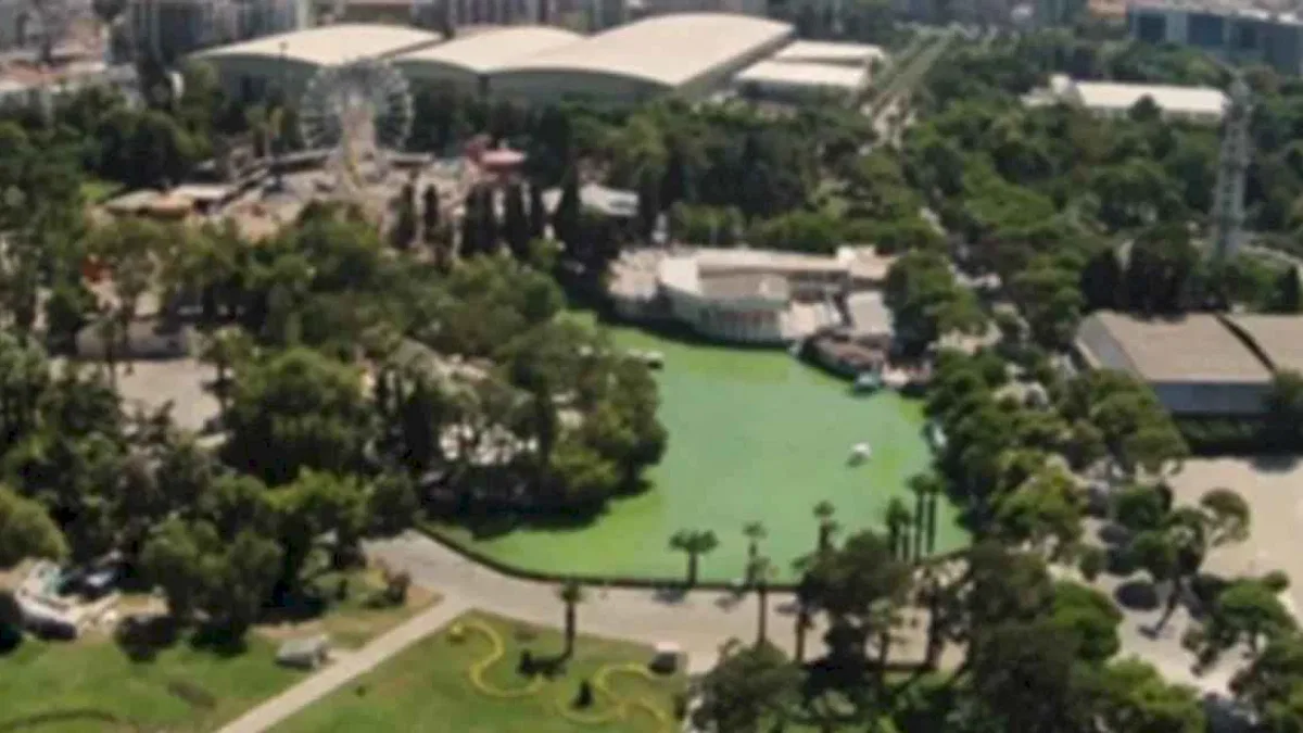 İzmir’in ilk Balkon ve Bahçe Bitkileri Festivali başlıyor
