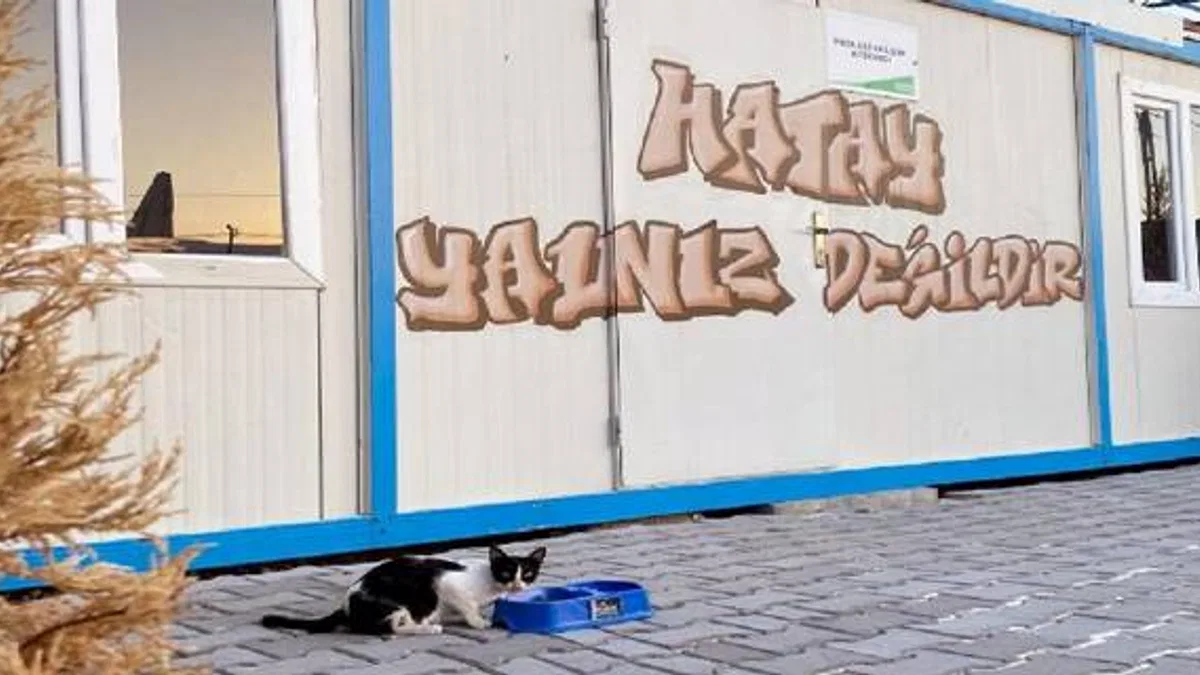 Uludağ Enerji sokak hayvanlarını afet bölgesinde de unutmadı
