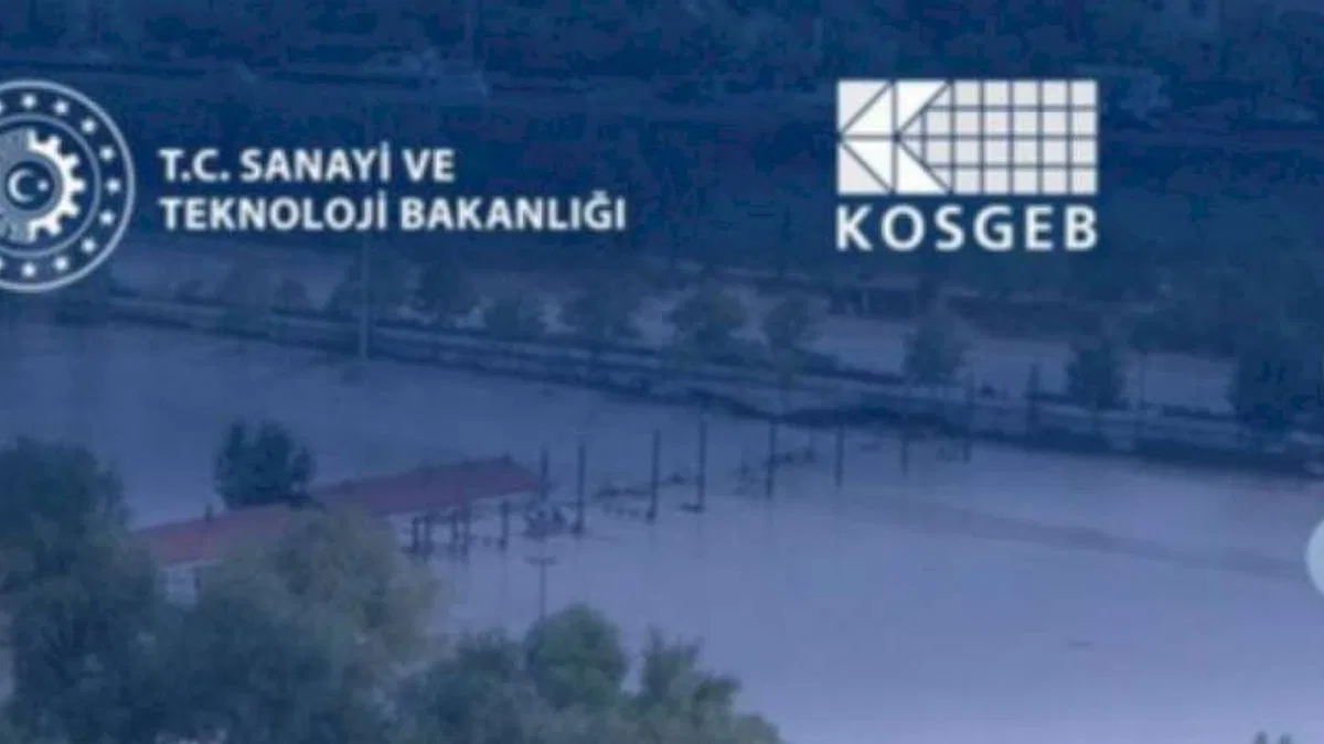 Selden etkilenen KOBİ'lere destek