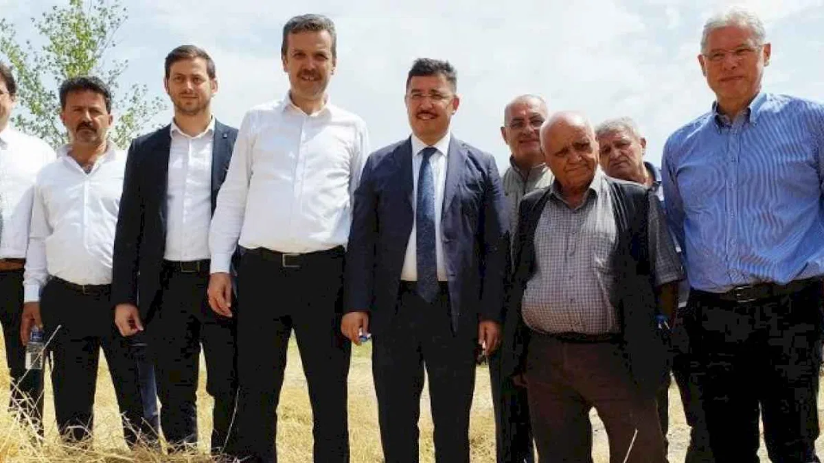 Mudanya'da yeni çeşit buğdaylara hasat