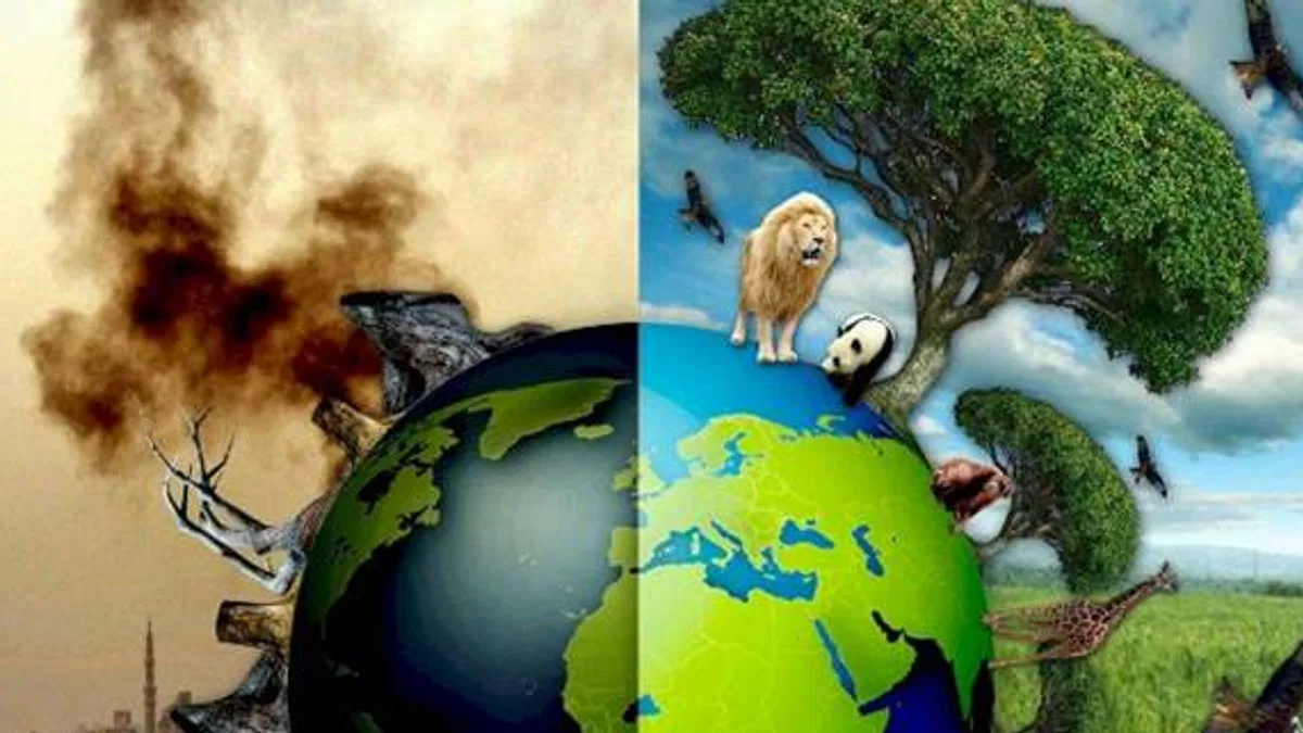 TEMA'dan geçen yıla 'çevresel' bakış! 2023'ü öne çıkan iyi ve kötü çevre olayları...