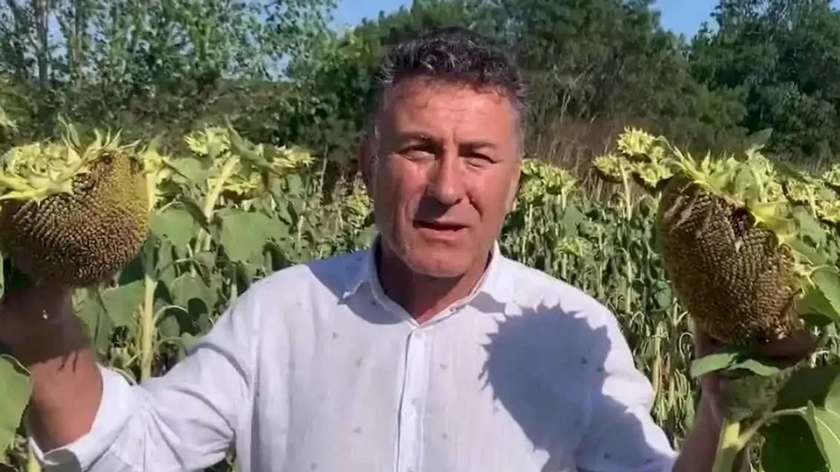 CHP’li Sarıbal’dan ayçiçeği üreticilerine destek çağrısı