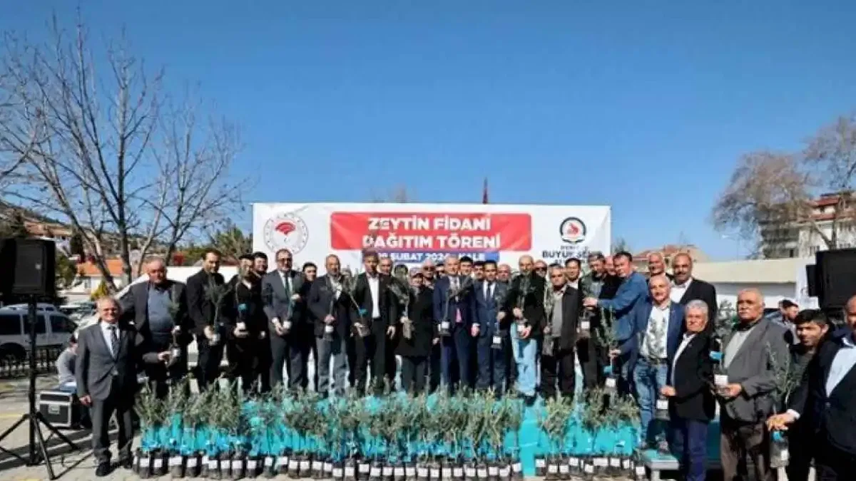 Denizli zeytinde kabuğunu kıracak