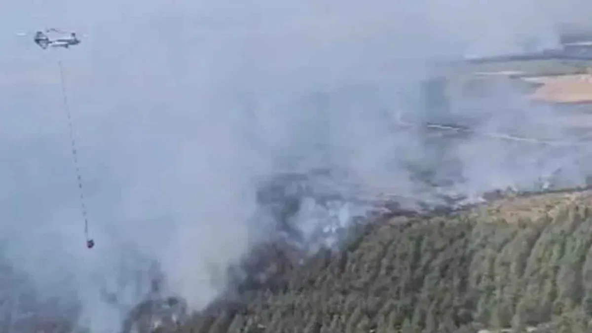 Tekirdağ Şarköy'deki yangında son durum... 15 uçak, 19 helikopter seferber