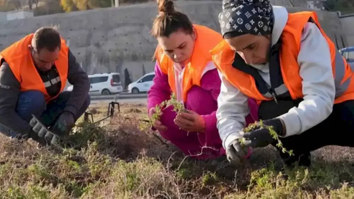 İzmir'de kuraklığa yeşil hamle!