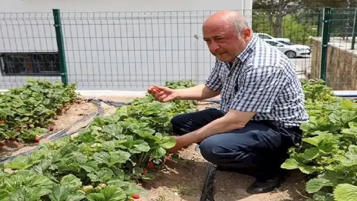 Kayseri Talas'tan deneme bahçelerine teşvik
