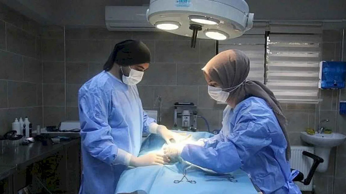 Büyükşehir patili dostlara sahip çıkıyor