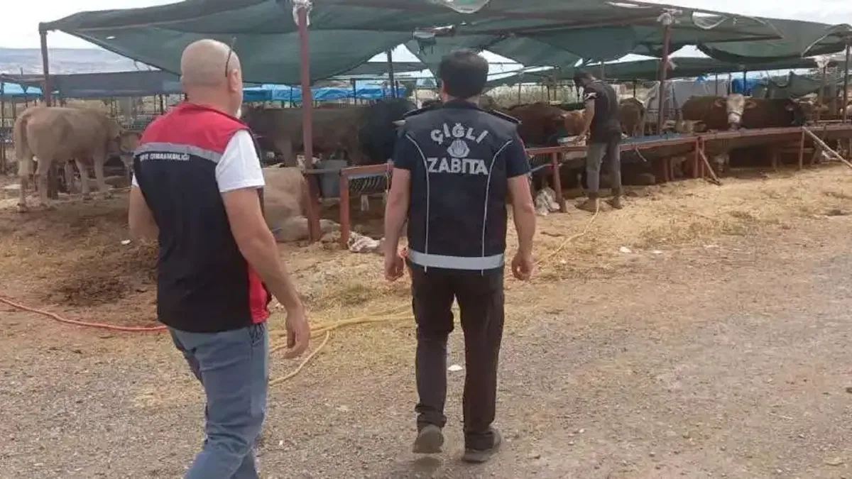 Çiğli’de kurban denetimleri aralıksız sürüyor