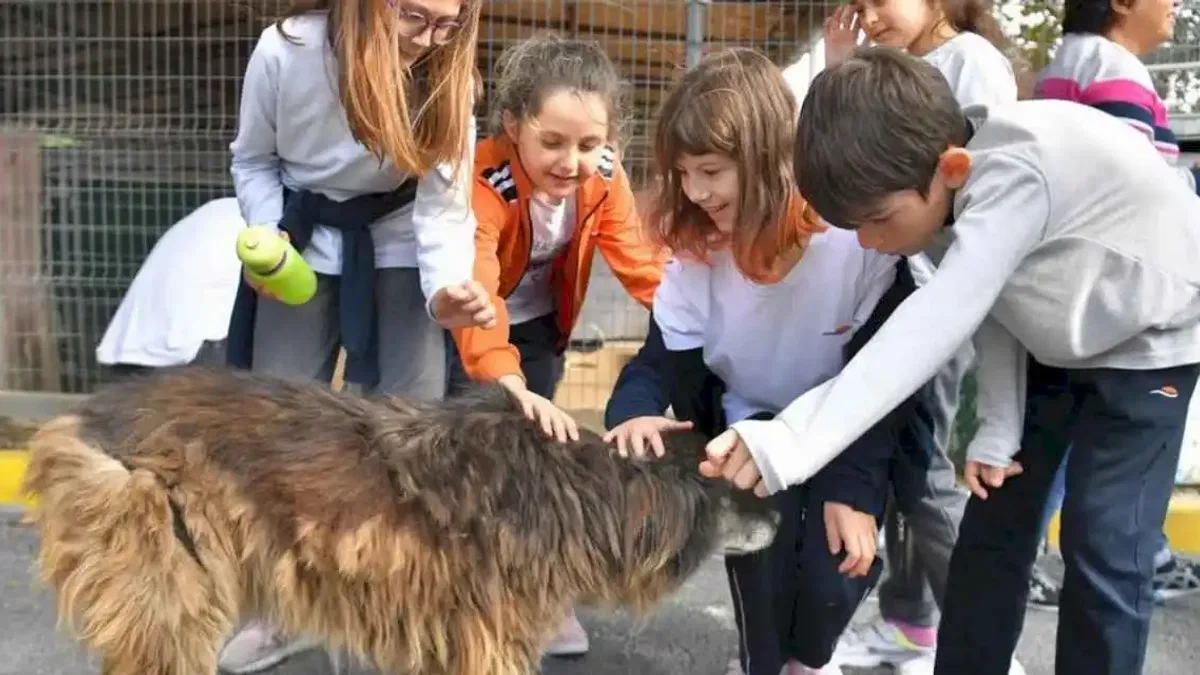 Beylikdüzü'nden o yasaya tepki!
