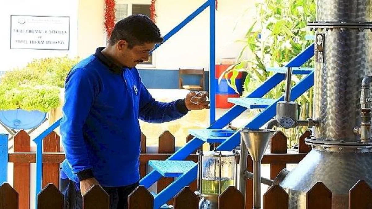 Muğla Büyükşehir Distilasyon Tesisi Muğla'nın Aromatik Bitkileri'ni İşliyor