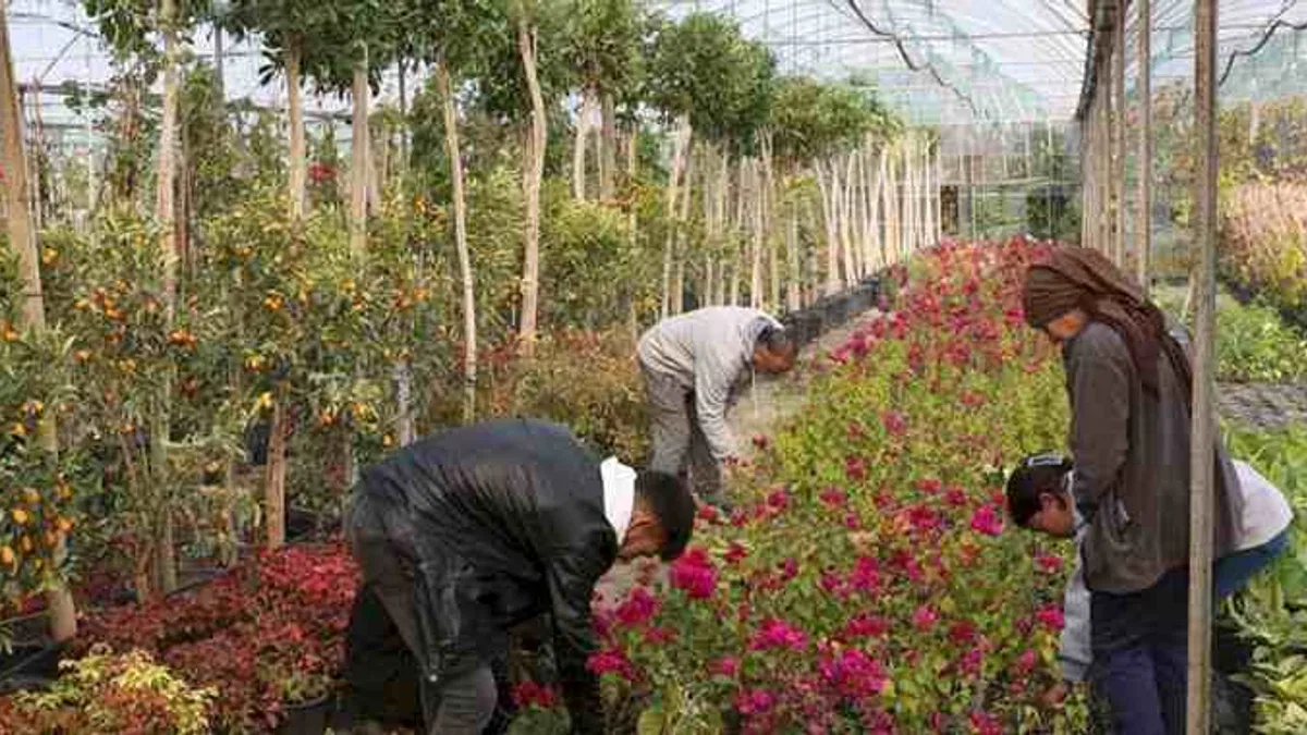 Muğla'dan yerel kalkınmaya 'Büyük' katkı