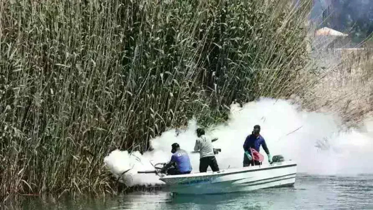 Antalya’da denizden karaya ilaçlama yapılıyor