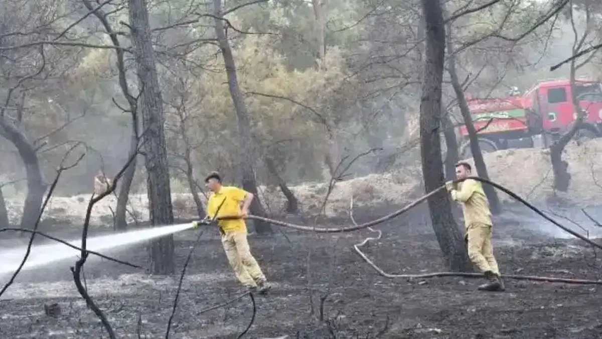 Manisa İtfaiyesi'nin yangın mücadelesi sürüyor